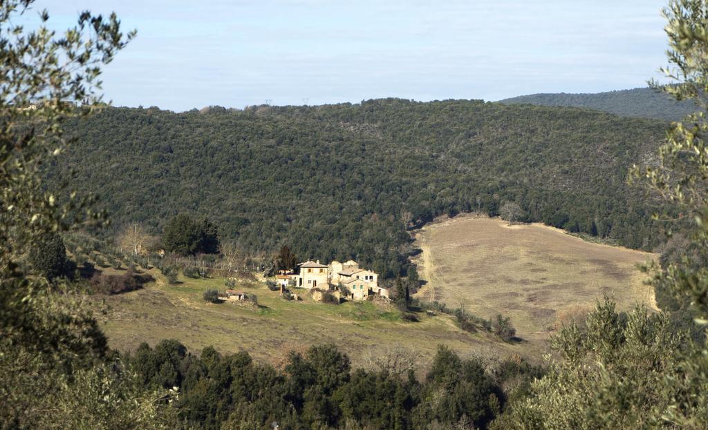 Casa Ollie Castel San Gimignano Exterior foto