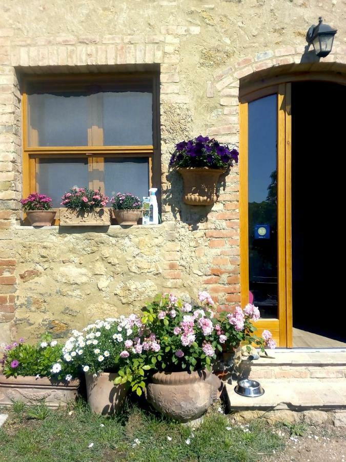 Casa Ollie Castel San Gimignano Exterior foto